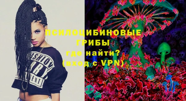 гидропоника Абаза