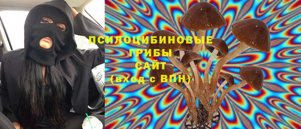 гидропоника Абаза