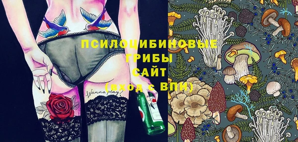 гидропоника Абаза