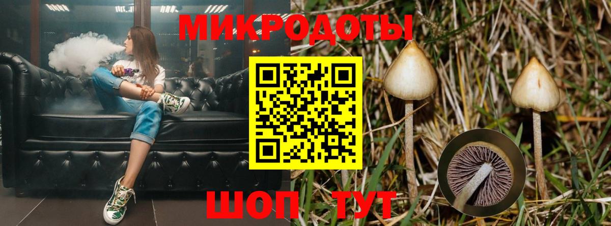 Псилоцибиновые грибы MAGIC MUSHROOMS Тула
