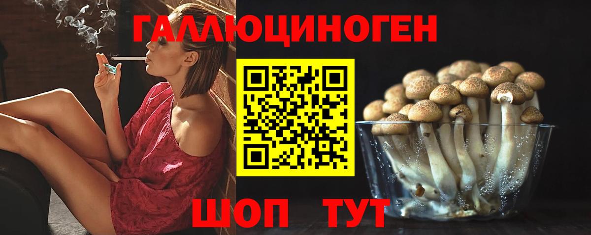 Псилоцибиновые грибы мицелий  Псилоцибиновые грибы мицелий  Тула  Вход с VPN 