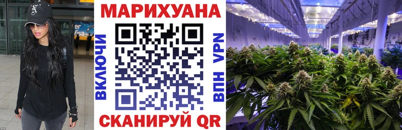 Бошки марихуана THC 21%  Тула 